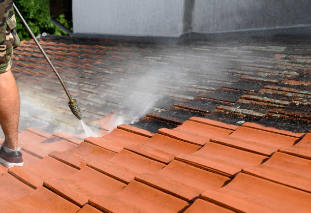 Best Sidewalk Pressure Washing  in Mesquite, TX
