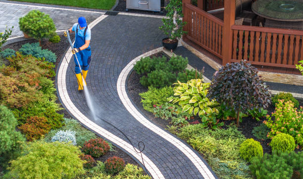 Best Roof Power Washing Services  in Mesquite, TX